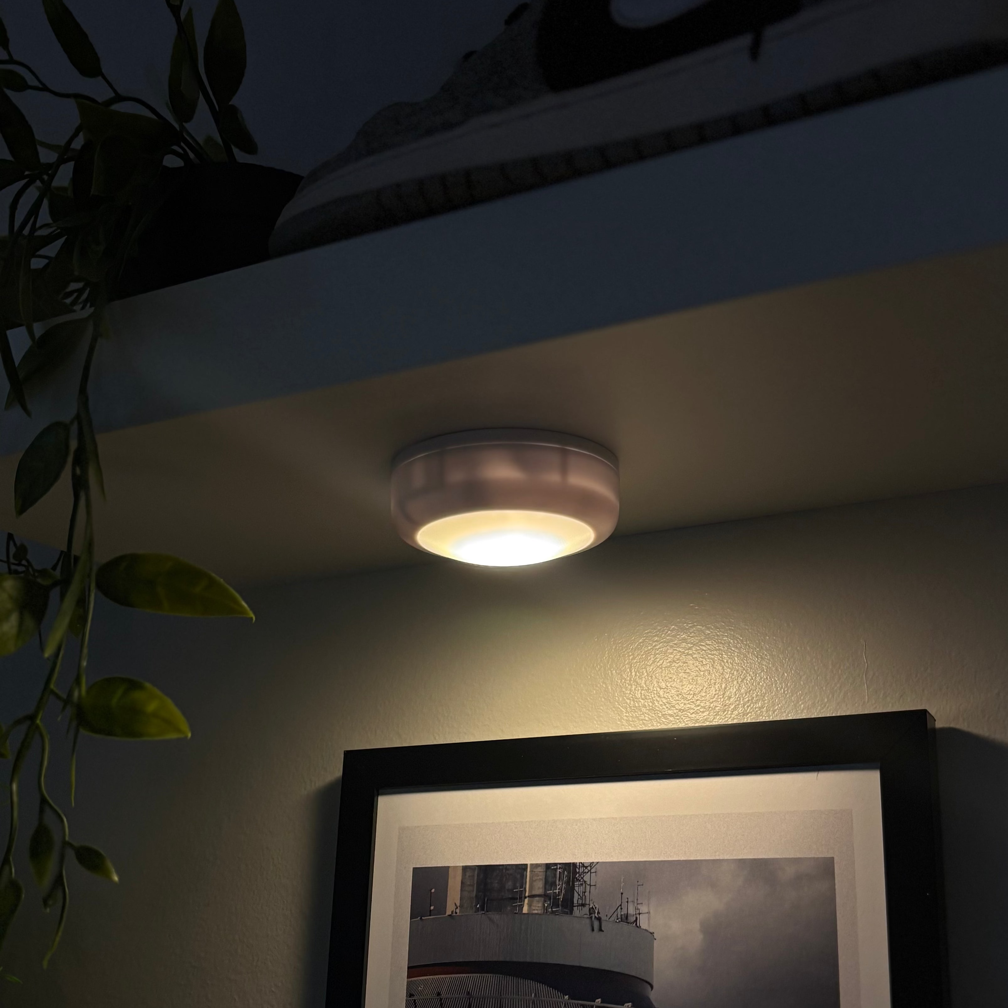Roomed Puck Lights