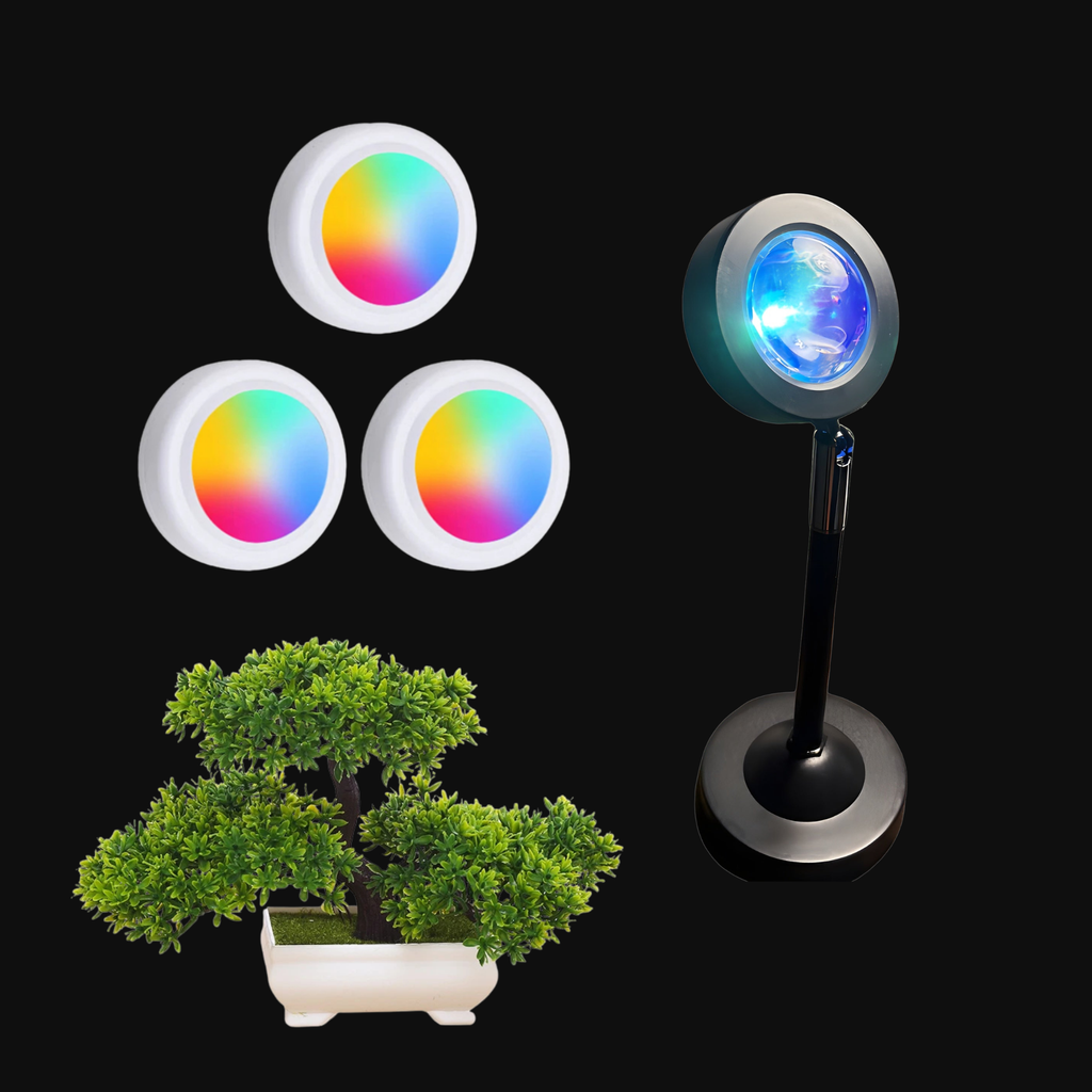 The Starter Bundle