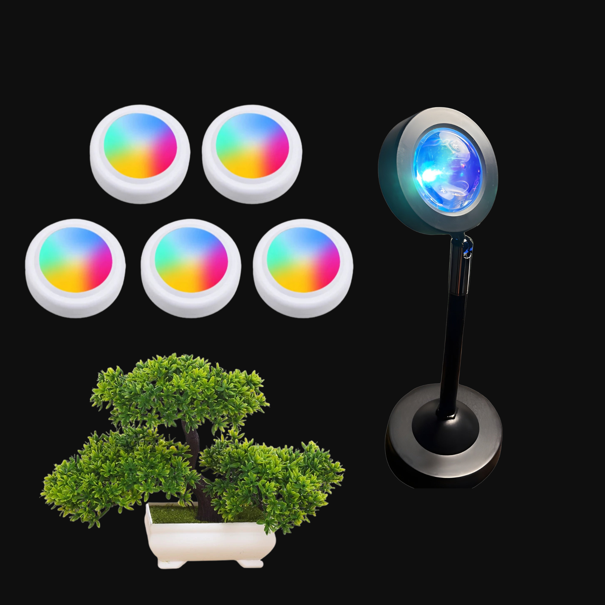 The Starter Bundle