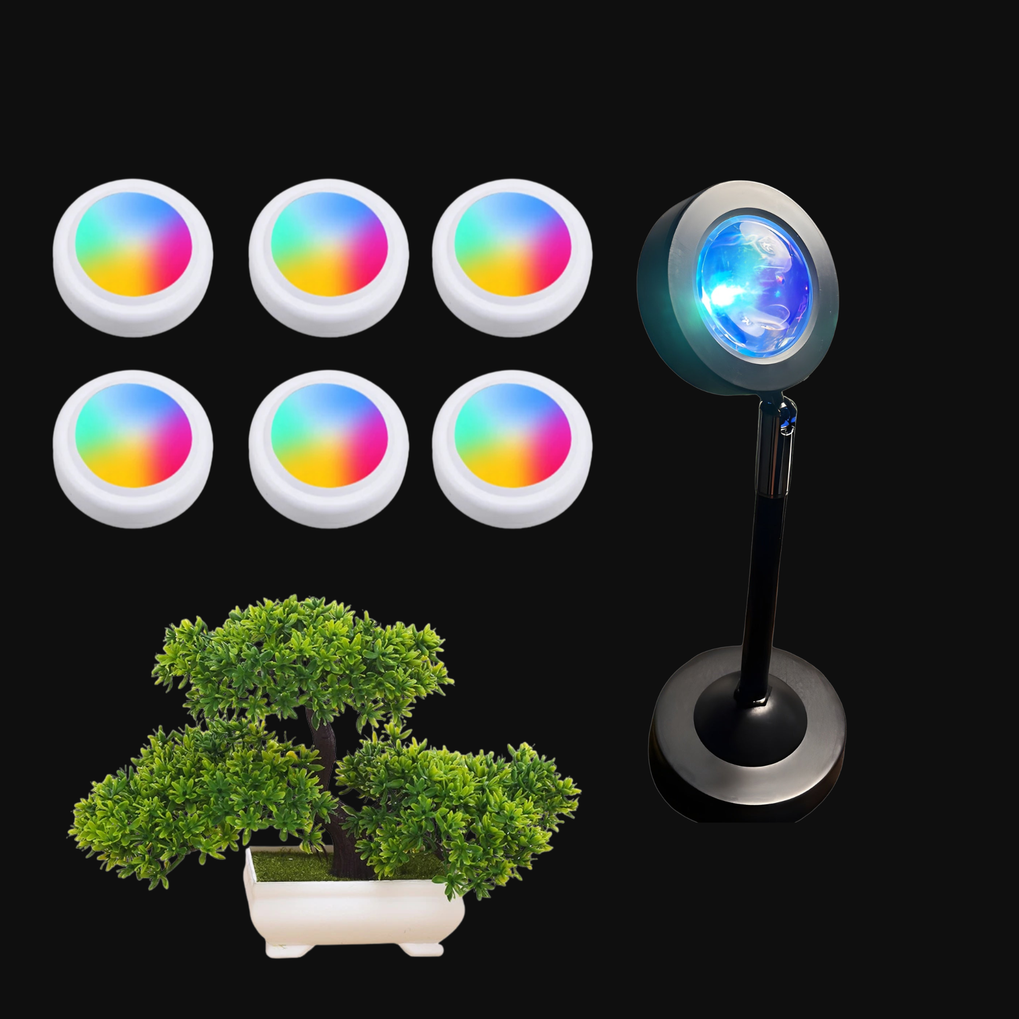 The Starter Bundle
