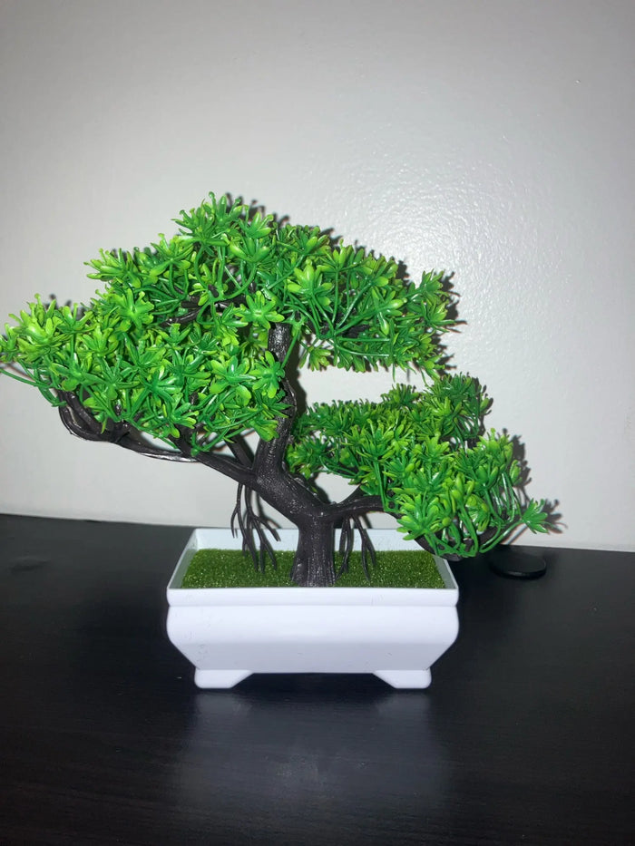 Fake Bonsai Tree review photo
