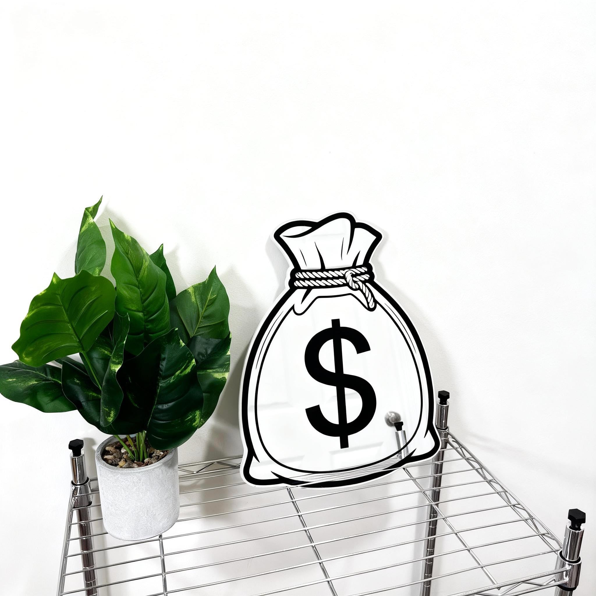 Money Bag Mirror