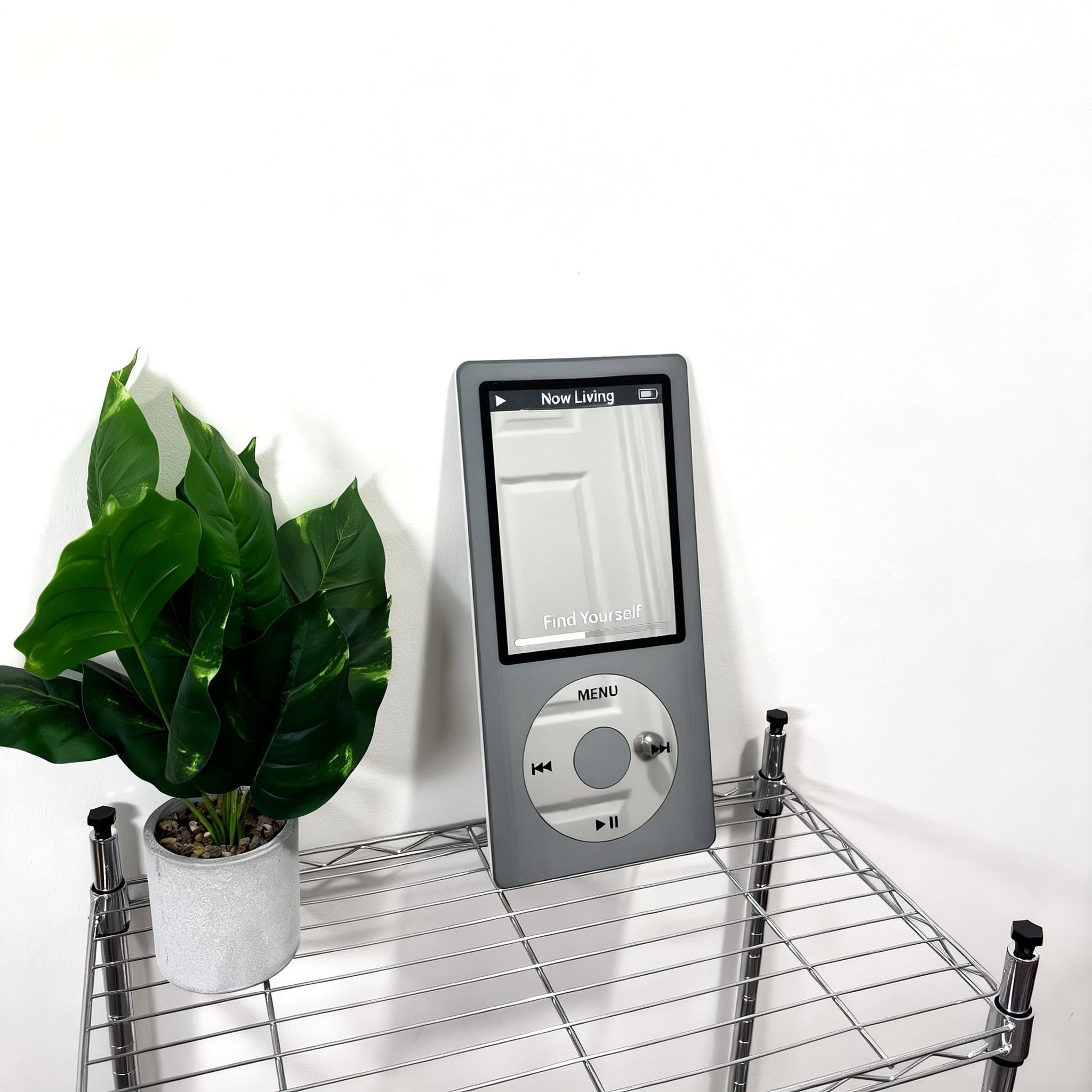 iPod Mirror
